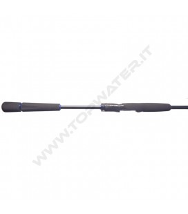 Daiwa 26 Saltist X Spinning