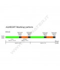 Sunline Almight