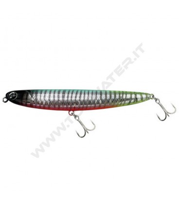 Tropic Rush Zebra