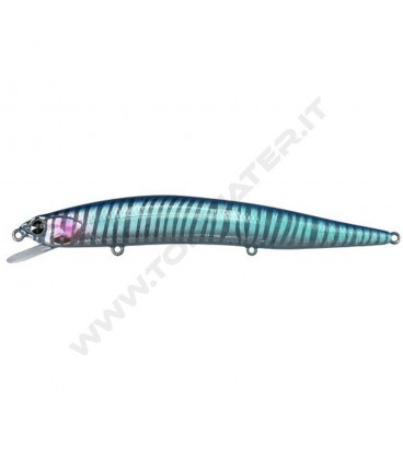 Blue Breaker Zebra