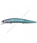 Blue Breaker Zebra