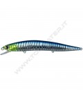 Blue Killer Zebra