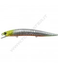 Reef Fire Zebra
