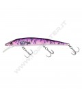 F and B Pink Goby