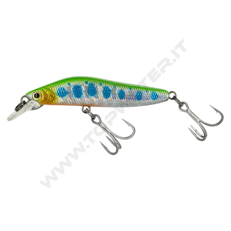 Molix Jubarino FS
