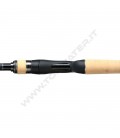 Shimano Expride 2022 Casting