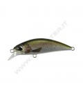 Rainbow Trout ND