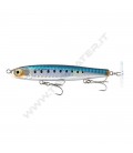 Sardine