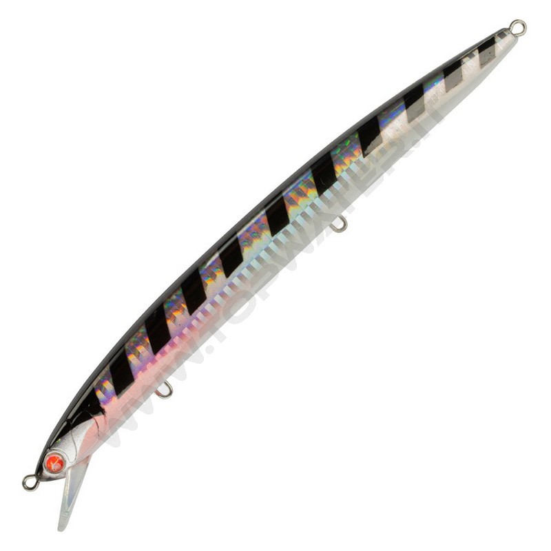 Seaspin Mommotti 160 S