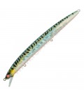 ITA Mackerel