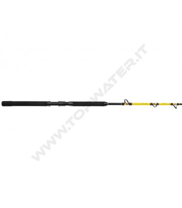 Shimano Beastmaster CX Standup Spiral