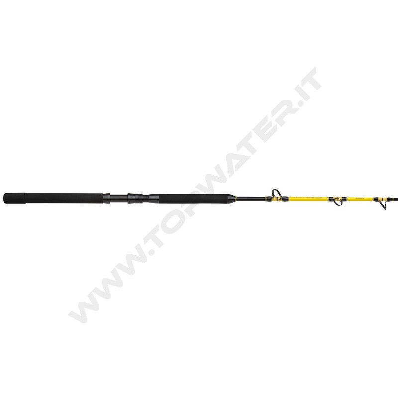 Shimano Beastmaster CX Standup Spiral