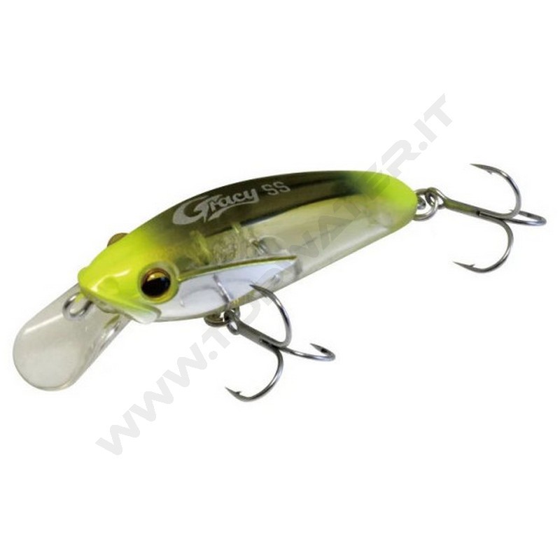 Magbite Gracy SS