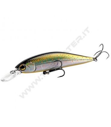 Brook Trout