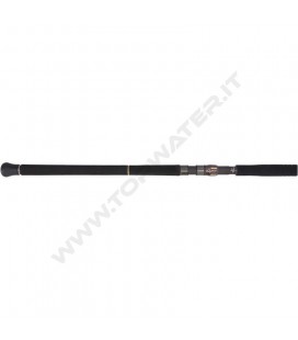 Daiwa 26 Saltiga C Bullwings