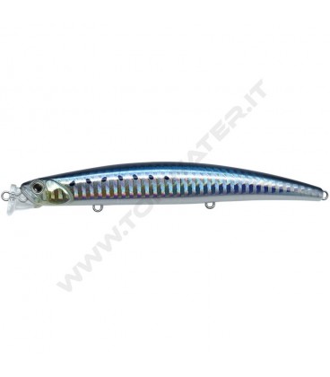 Sardine