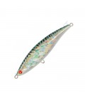Mackerel