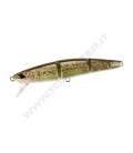 RP Loach