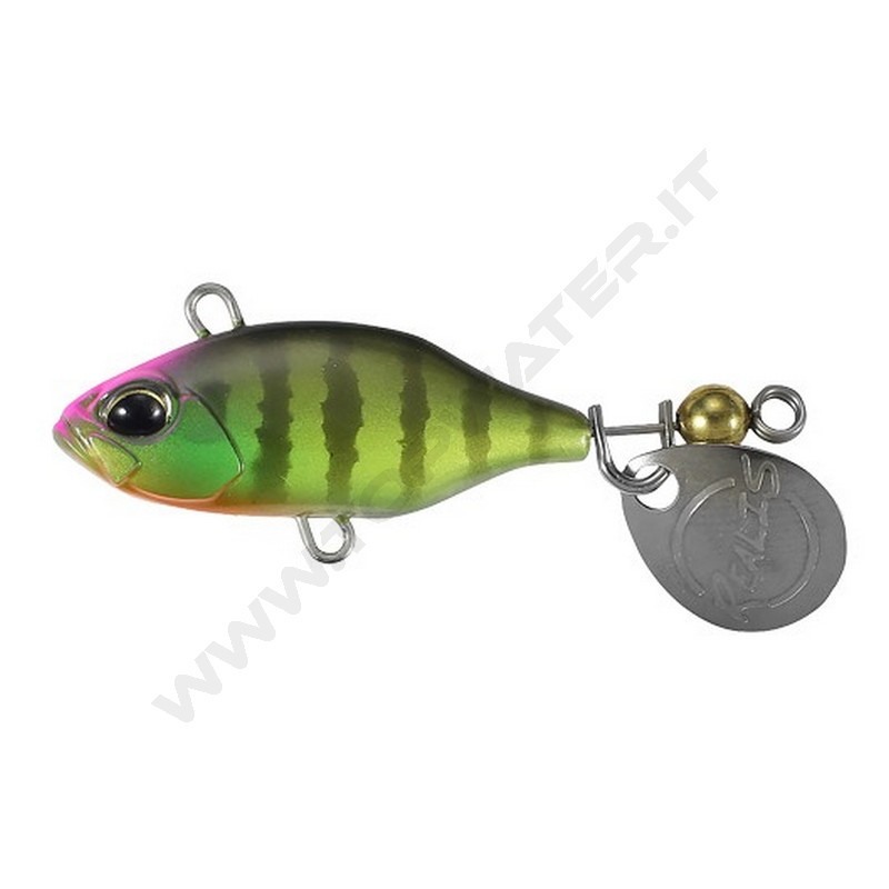 DUO Realis Spin