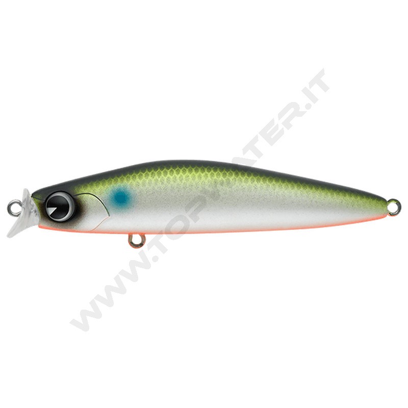 IMA Kosuke 85F