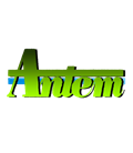 Antem Trout Area Spoon