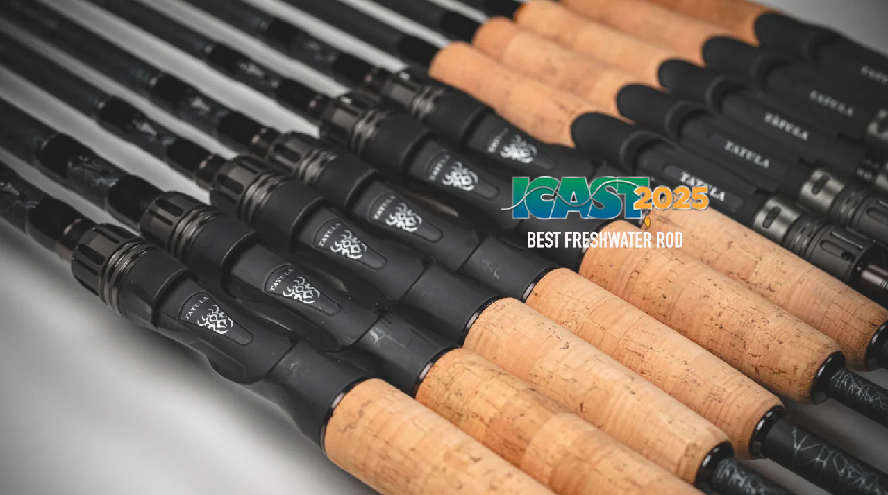 Daiwa 25 Tatula canne casting