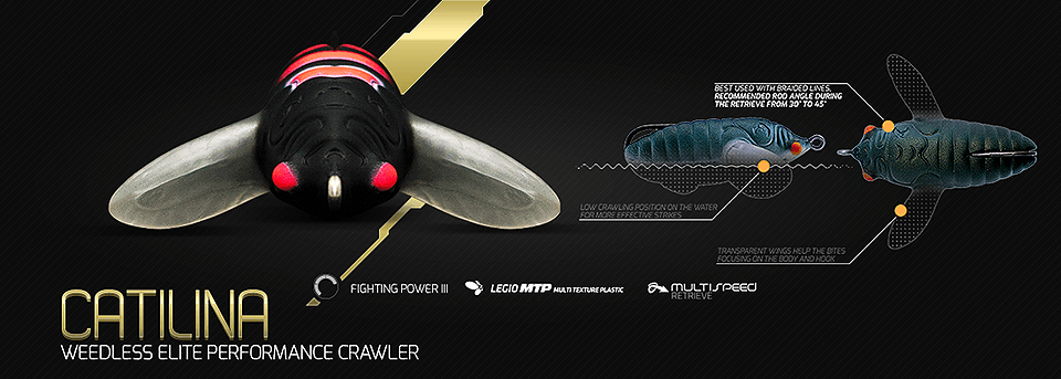 Legio Aurea Catilina