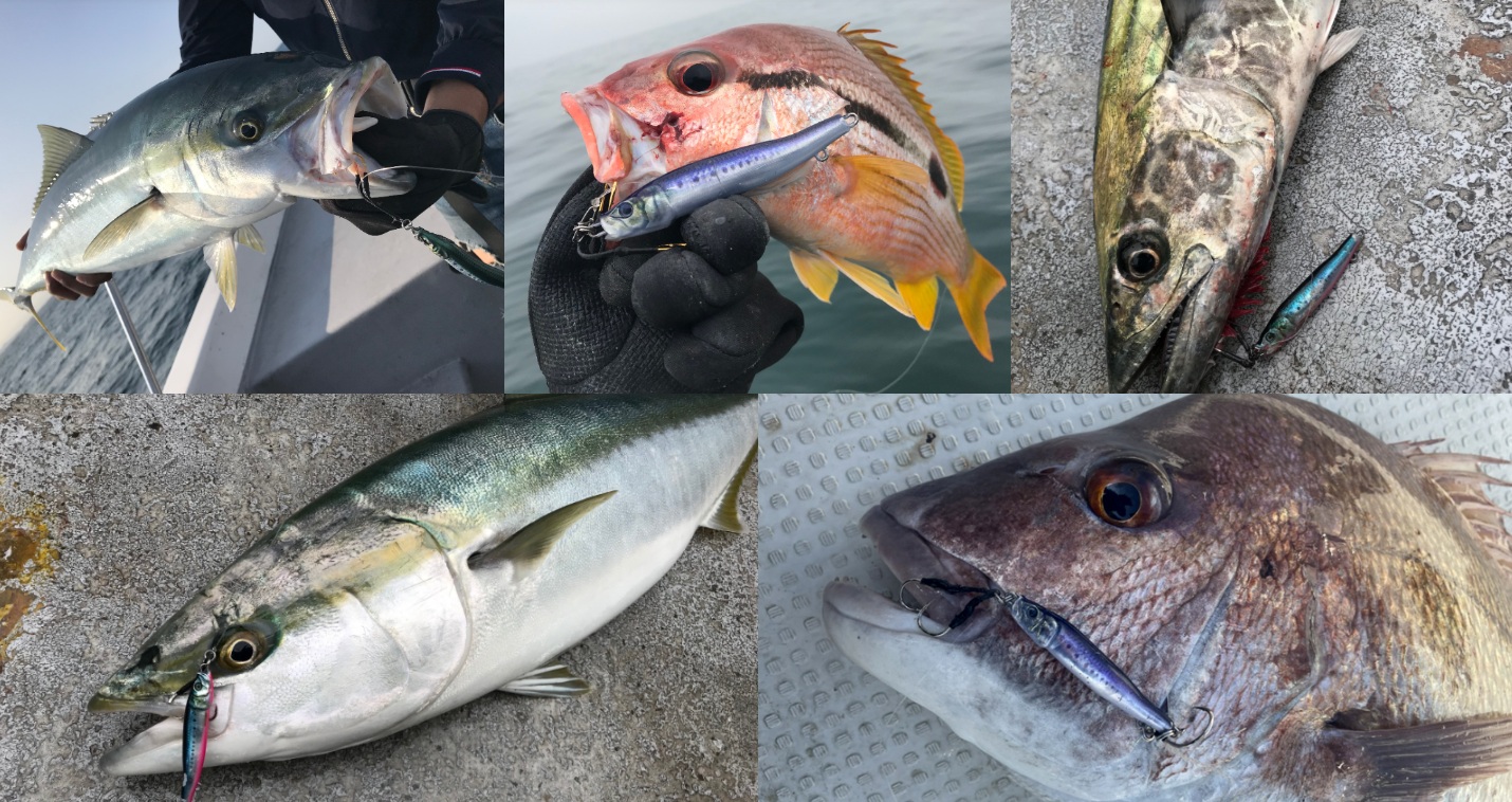 Little Jack Metal Adict Type 04