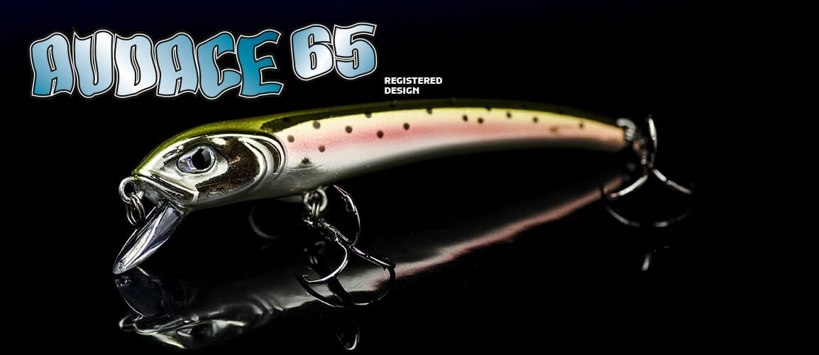 Molix Audace 65 Suspending