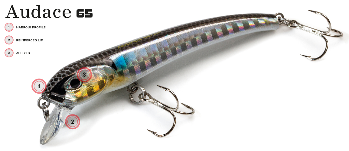 MOLIX AUDACE 65