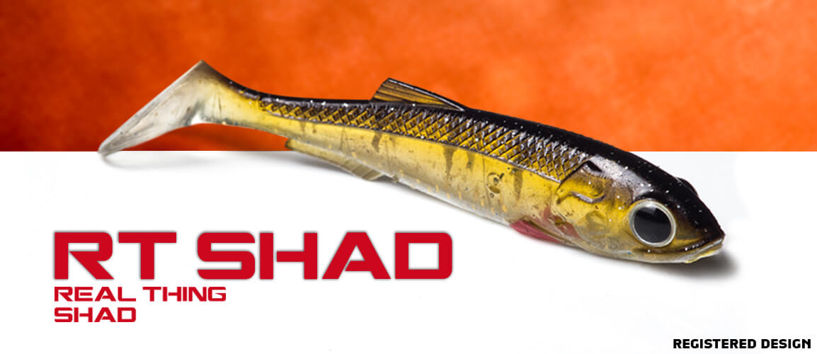 Molix RT Shad