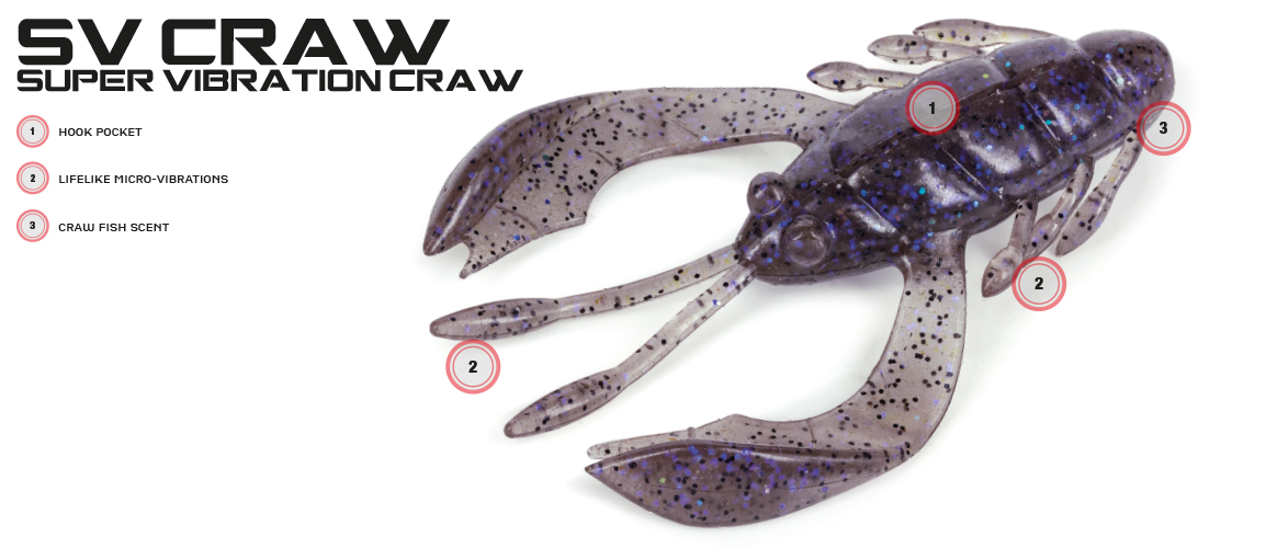 Molix SV Craw