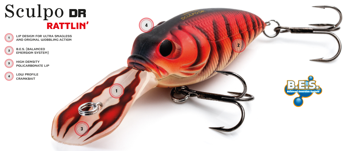 Molix Sculpo DR rattlin