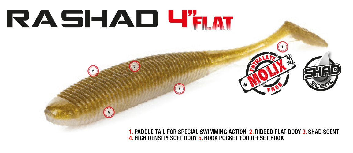 Molix RA Shad FLAT