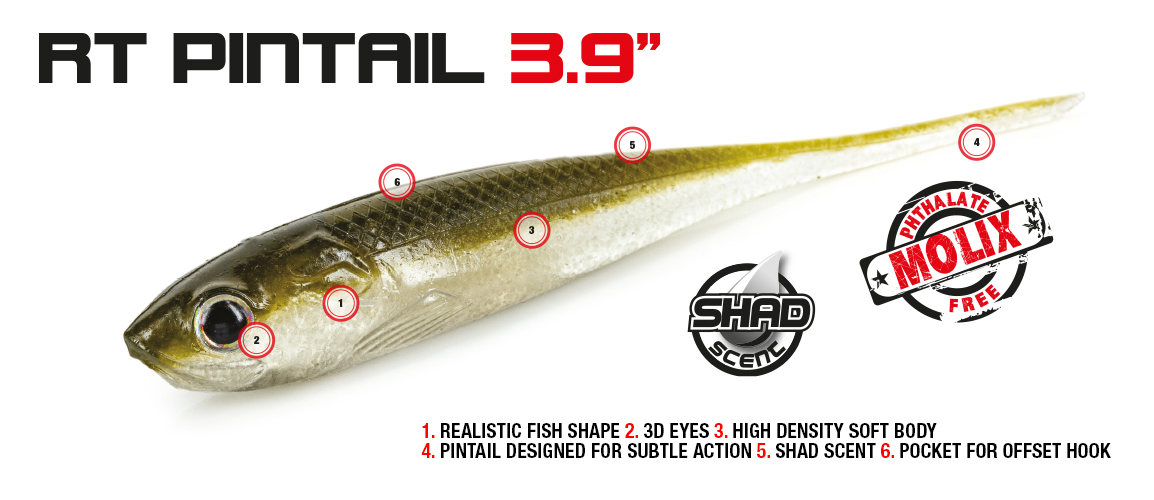 Molix RT Pintail
