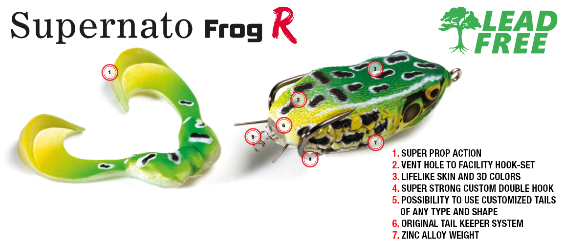 Molix Supernato Frog R