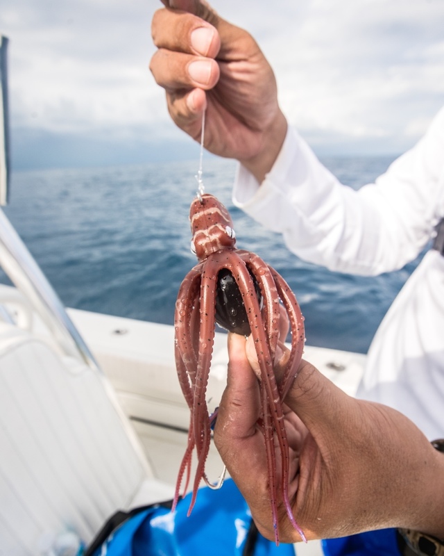 Mustad Inkvader Octopus