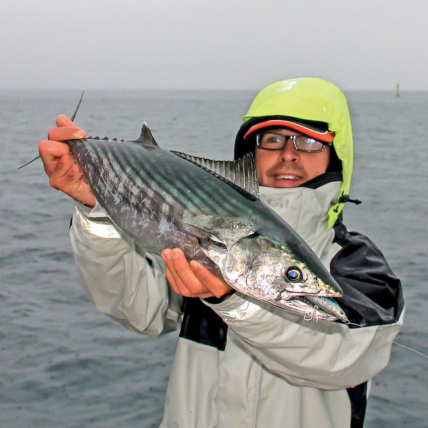 Sakura Bainer 105S