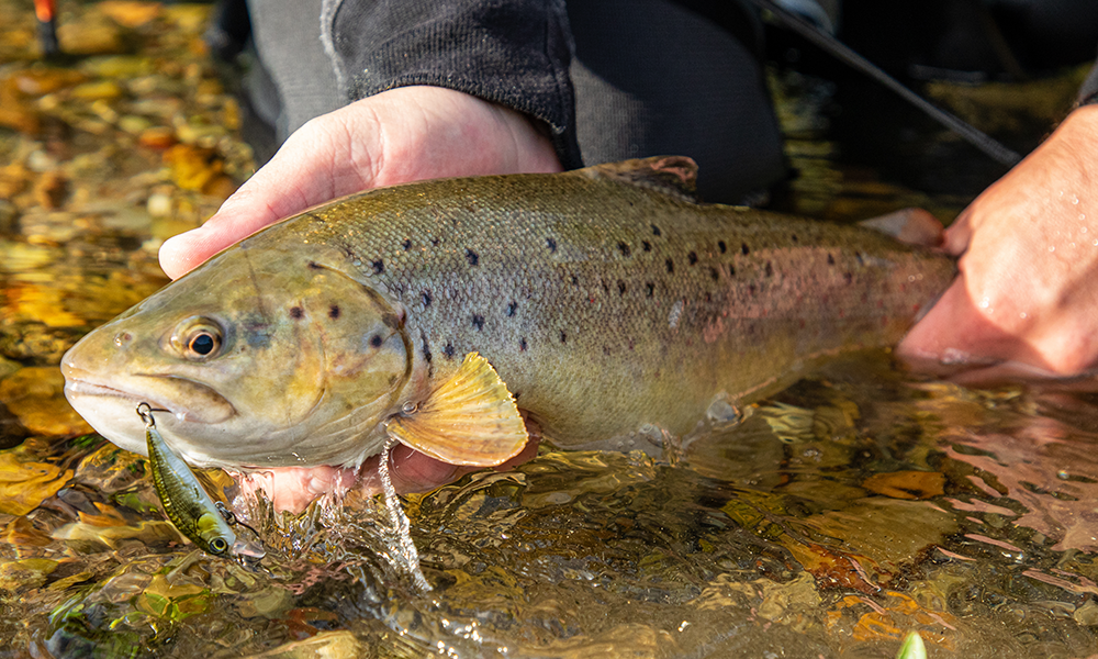 Savage Gear 3D Sticklebait Twitch