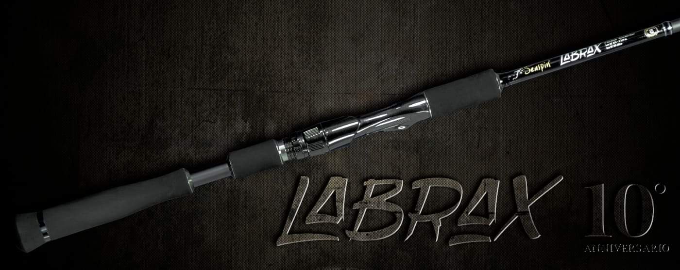 Seaspin Labrax 10