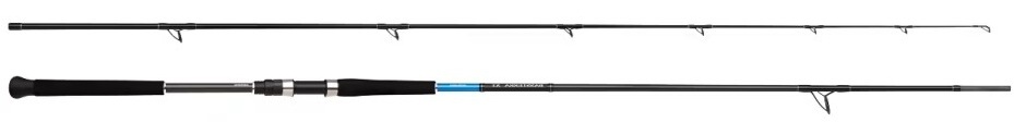 Shimano Bassterra XT Shore Jigging