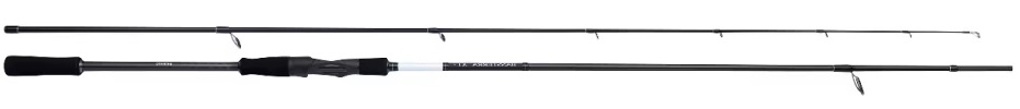 Shimano Bassterra XTP Sea Bass